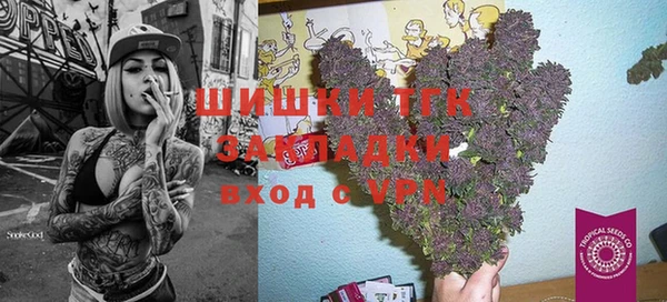 дживик Каменногорск