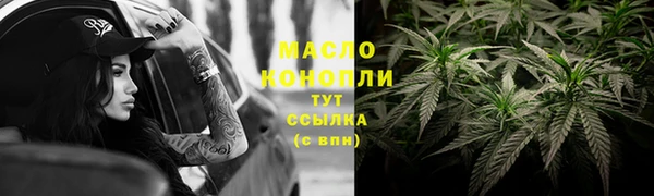 дживик Каменногорск