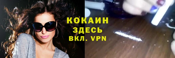 дживик Каменногорск