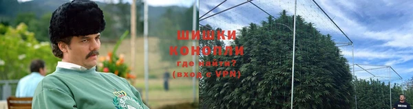 дживик Каменногорск