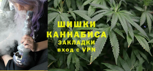 дживик Каменногорск