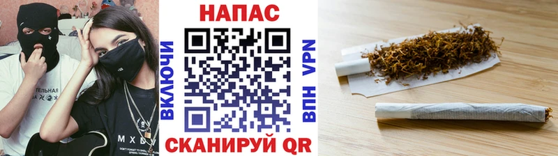 Бошки Шишки OG Kush  Купить  Буйнакск 